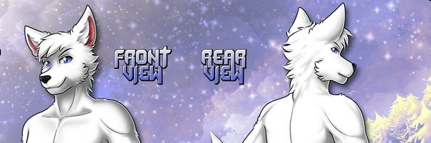 FlakyShepherd's profile banner image