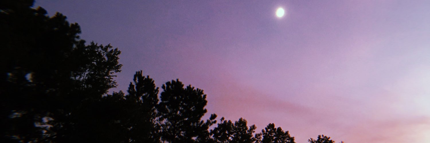 annmarieeb's profile banner image