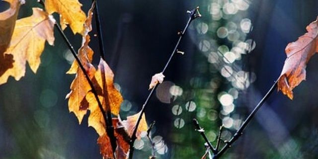 highmodern's profile banner image