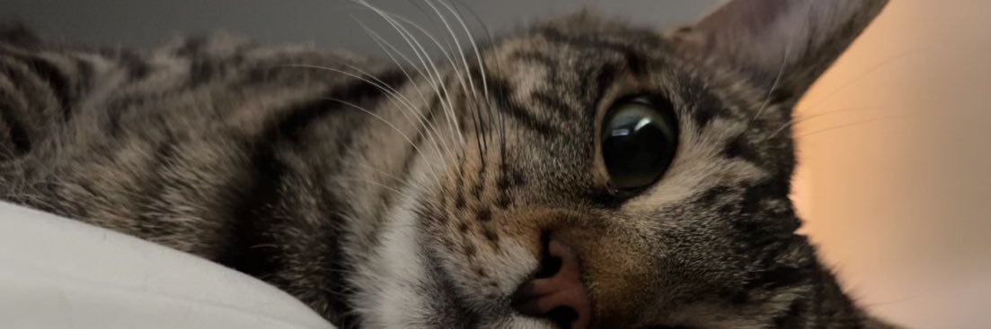 NickDodson9's profile banner image