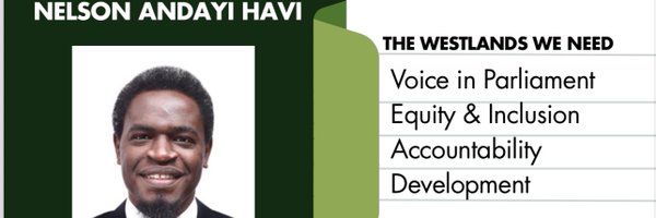 NelsonHavi Profile Banner