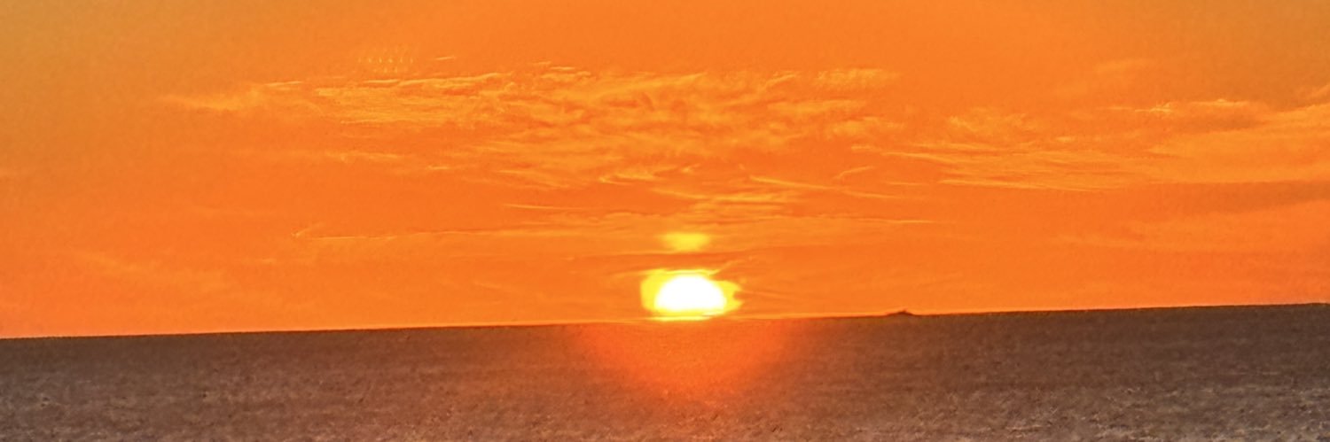 V banner