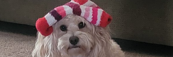 Thogar Profile Banner