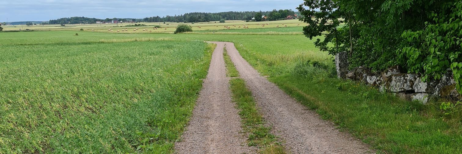 Marcus Åberg banner