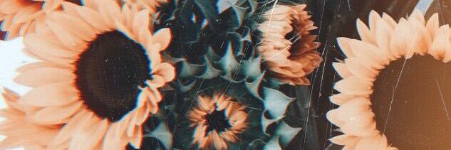 Eliferks1997's profile banner image