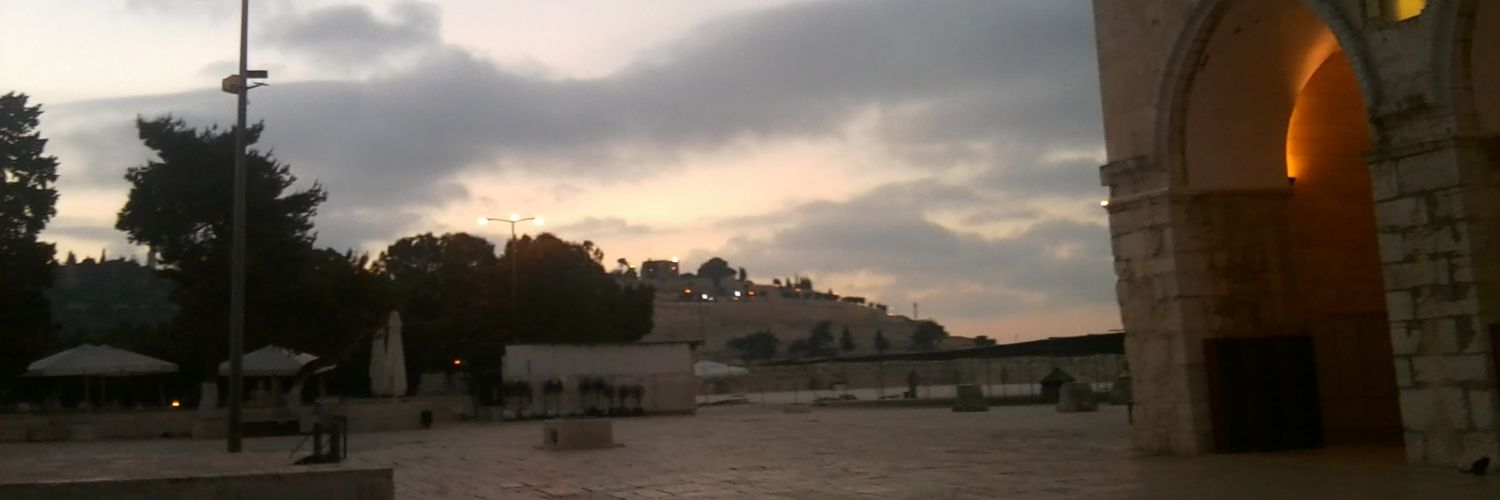 Cağrı 🇹🇷🇵🇸 banner