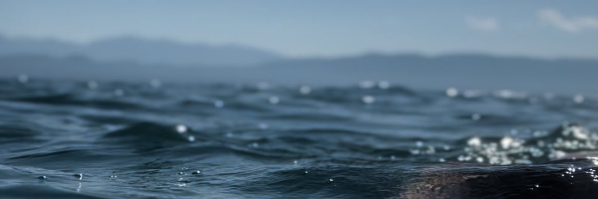 RachellSunshine's profile banner image