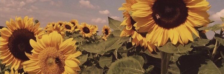 pushmenot's profile banner image