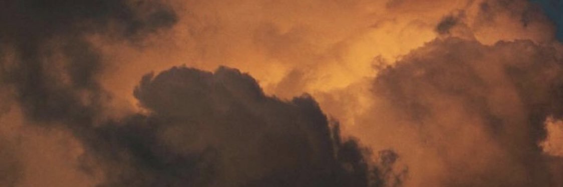 danielabm16's profile banner image