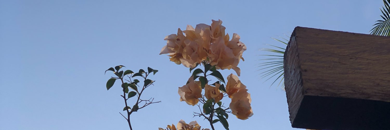 Charlie9068's profile banner image
