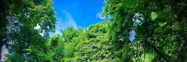 jakobjohnson Profile Banner