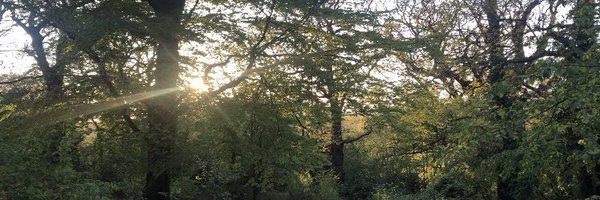 k_howlett Profile Banner