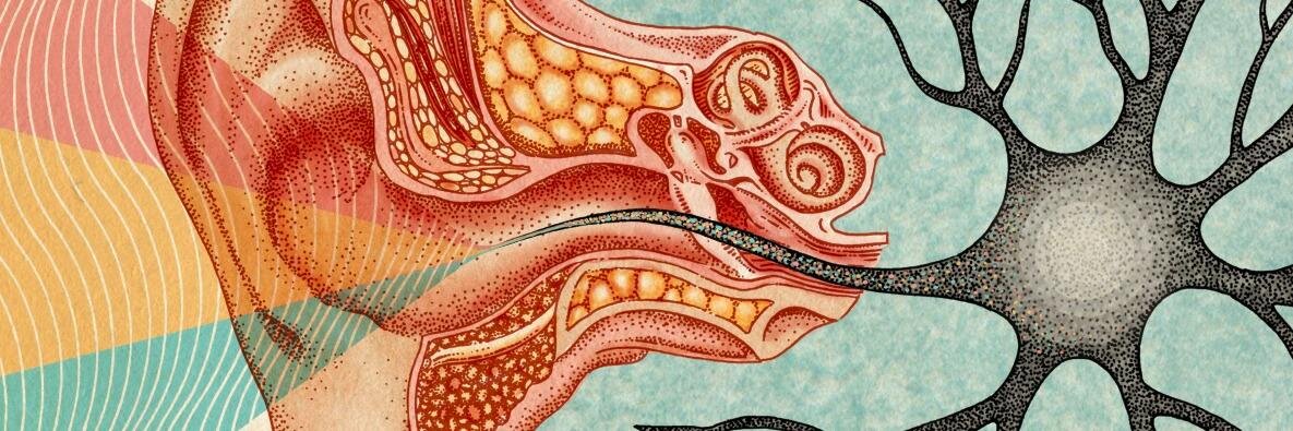 gardnerae's profile banner image