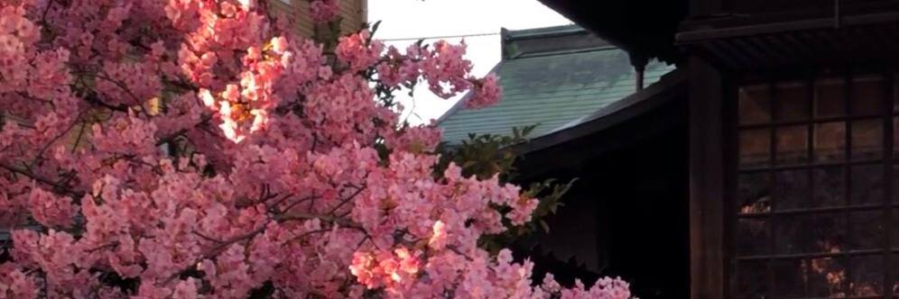 xwwefrc's profile banner image