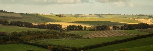 Marlborough Downs NEP banner