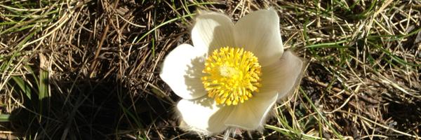 MariaPalau75 Profile Banner