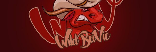 WildBoiVic's profile banner image