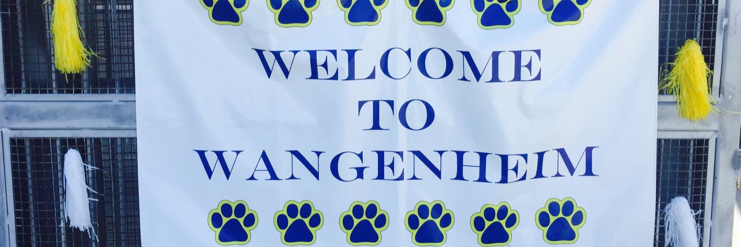 sdusdwangenheim's profile banner image