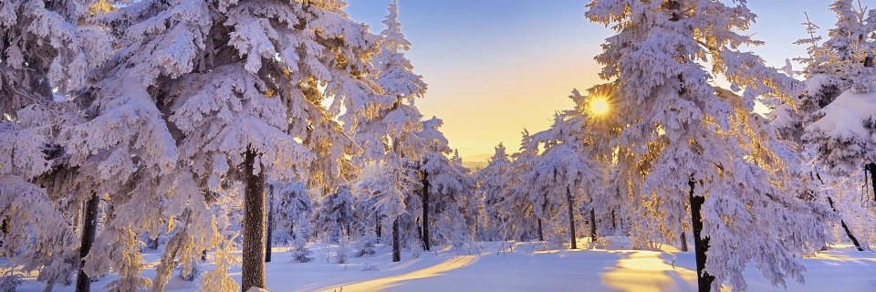 sandrarickstrom's profile banner image