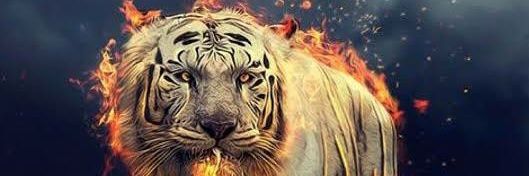 kaptenrabbit's profile banner image