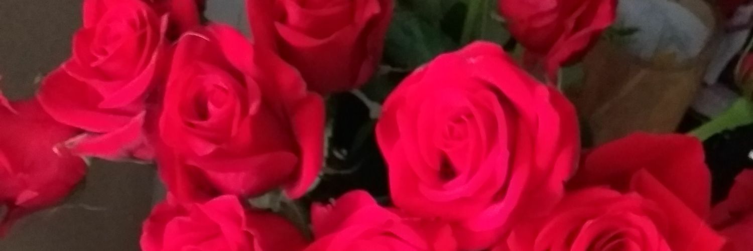 Carrrrrito's profile banner image