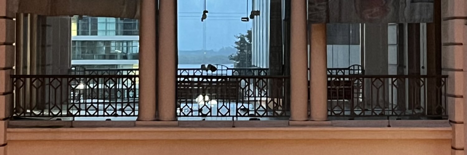 alinecsouza's profile banner image