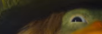 404hamsters's profile banner image