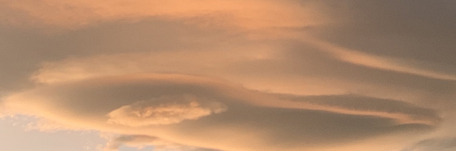 Wondervi's profile banner image
