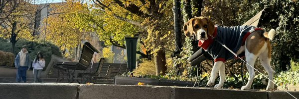 crashius Profile Banner