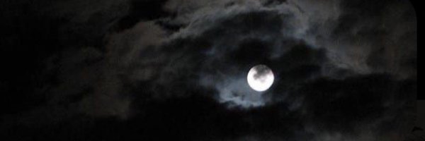 StregaGigiii Profile Banner