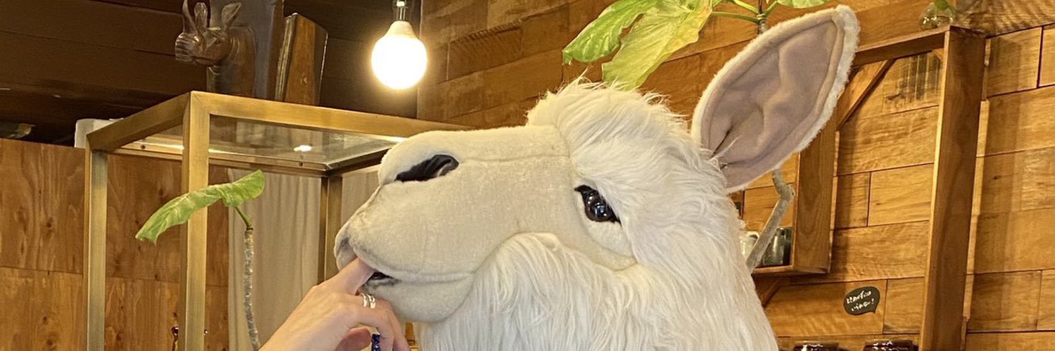 prkgreen's profile banner image