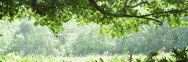 takeda6933's profile banner image