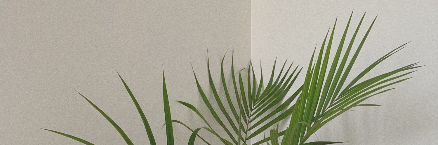 salmalindblom's profile banner image