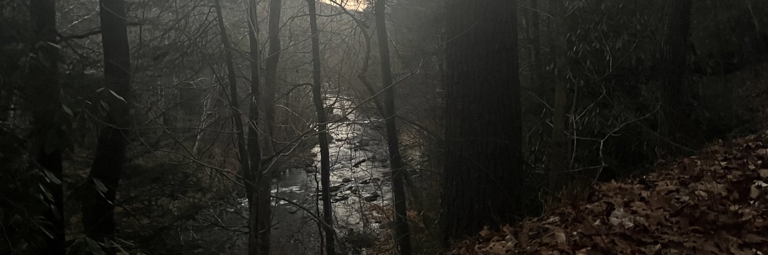 Ryan banner
