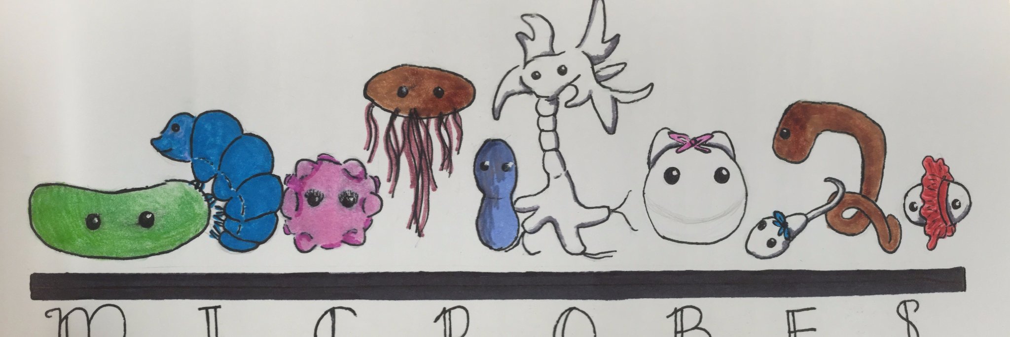 MichelleSpigner's profile banner image