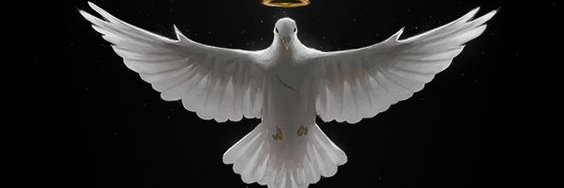 DivinoAliento's profile banner image