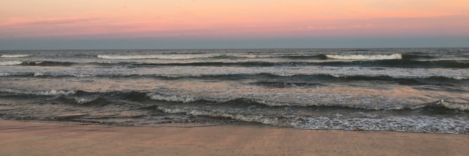 Rachel_KHurst's profile banner image