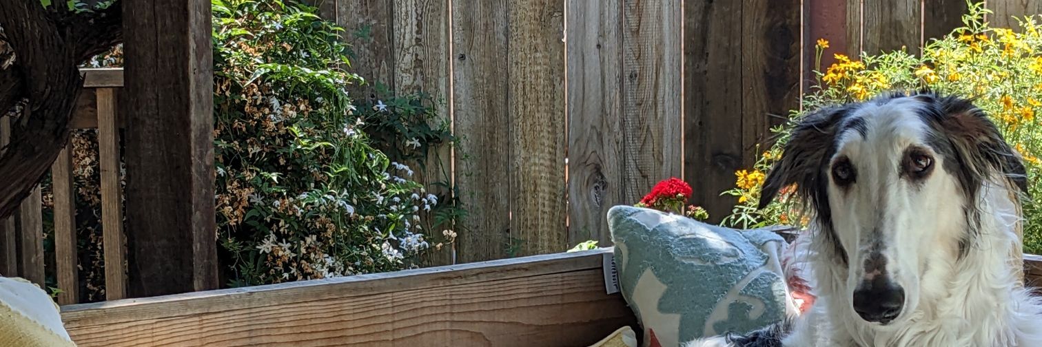 Russ Leverenz banner