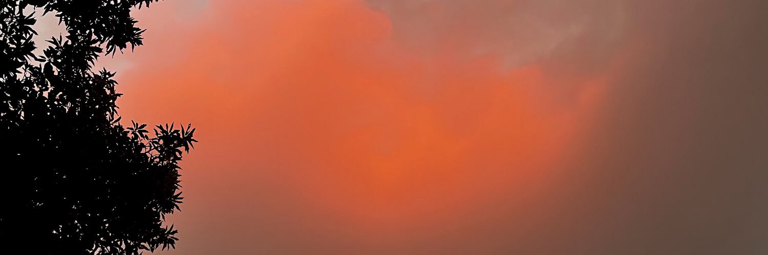 FridaGamboa's profile banner image