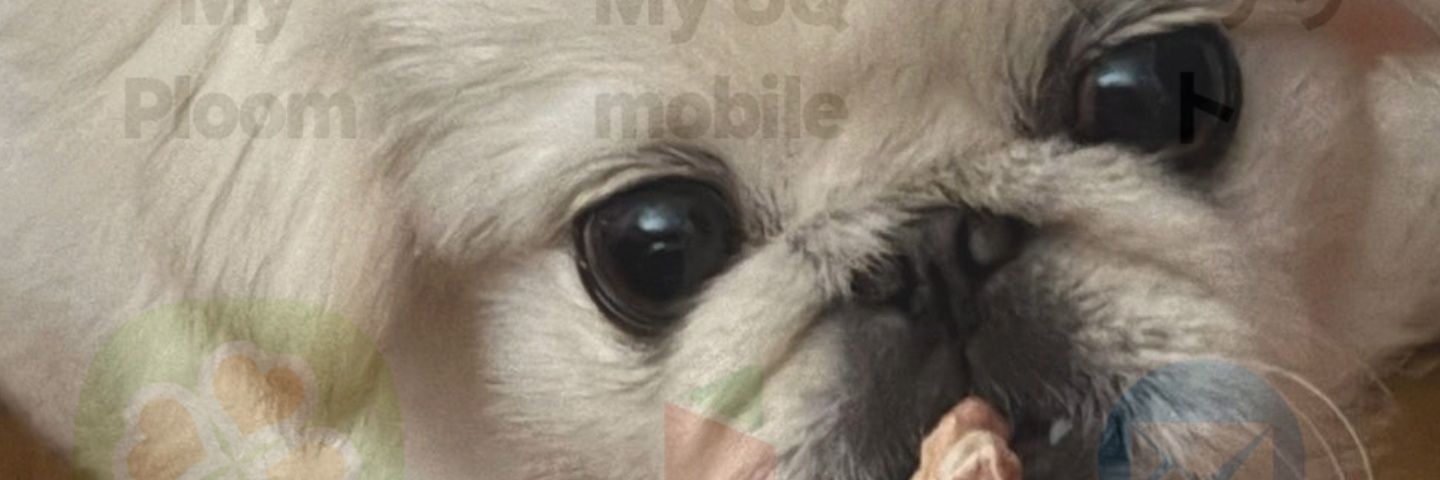 kumapoopoopoo's profile banner image