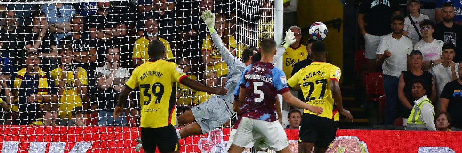 Daniel Bachmann banner