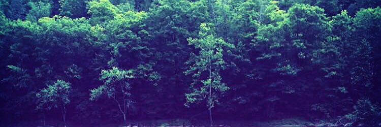 KStefff9's profile banner image