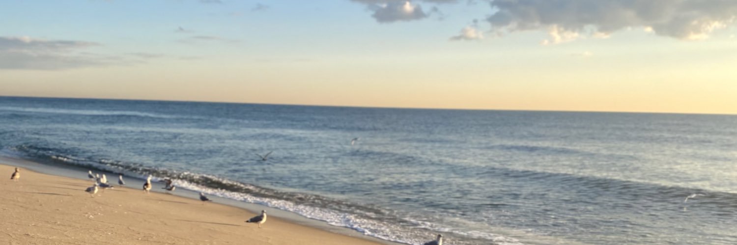 EduPlugged's profile banner image