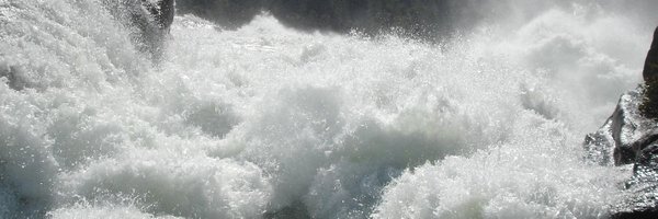 wolfofwolfst Profile Banner