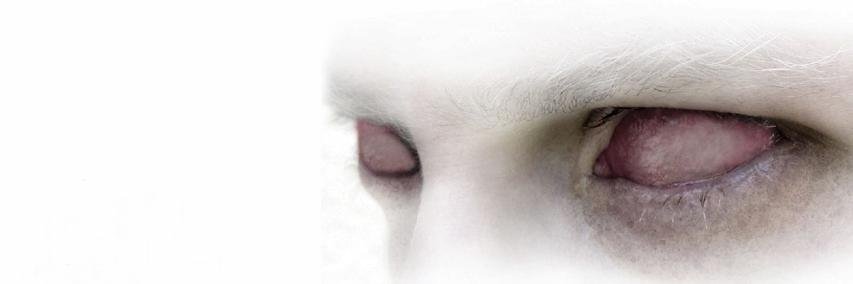 Lysndr's profile banner image