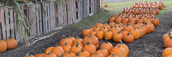 redwagonfarm Profile Banner