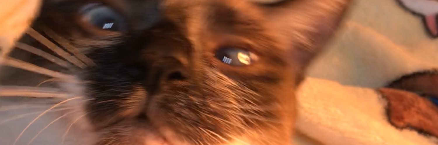 vatovato's profile banner image