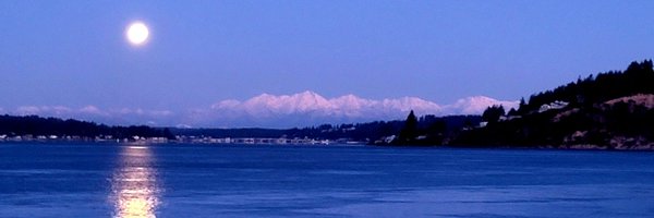 lisaolywa Profile Banner