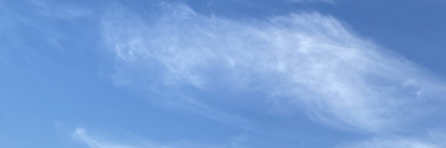 Jodi Long banner