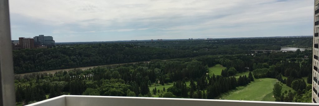 Steve banner